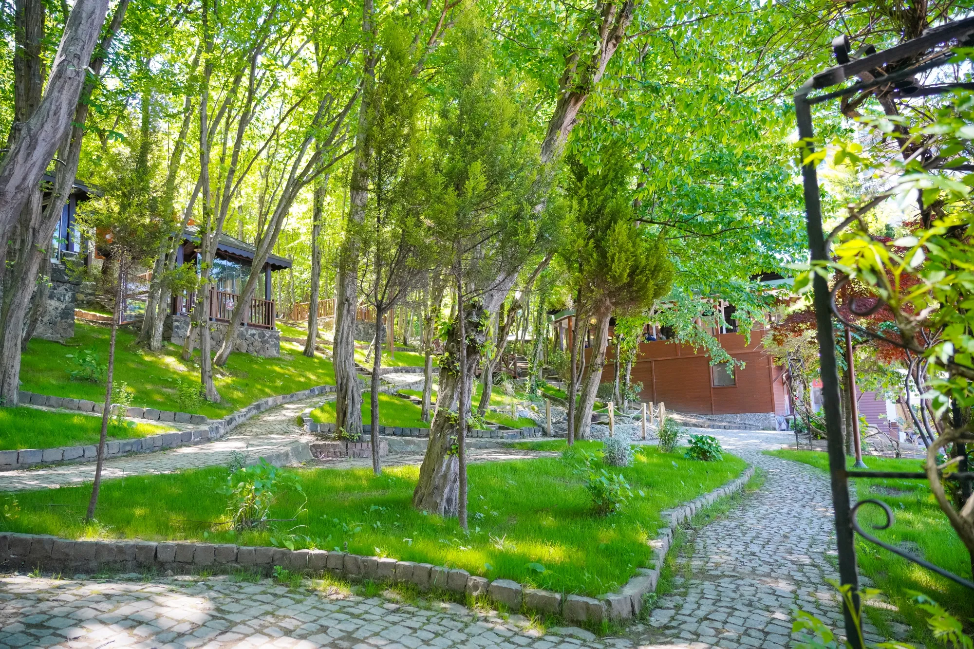 FATSA’DA TURİZME YENİ BİR SOLUK: ÇERKEZLER TEPESİ BUNGALOV OTEL & RESTORAN 1 HAZİRAN’DA AÇILIYOR